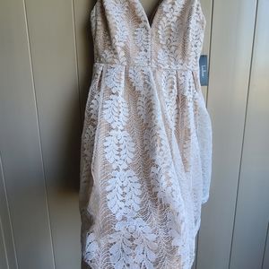 Lulus NWT all of my heart skater lace dress